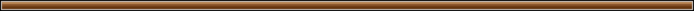 Brown_divider.png